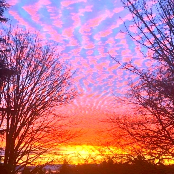 Meet your Posher, Hi! I'm Tamara Posh Ambassador - Picture 2 of 12